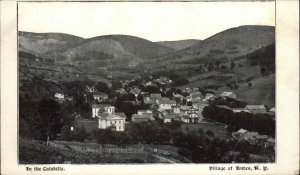 Andes New York NY View in the Catskills c1910 Vintage Postcard