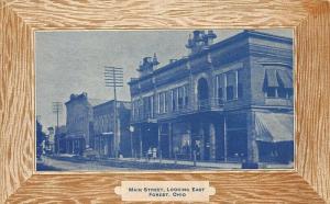 Forest OH Main Street Storefronts Postcard