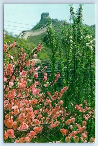 Spring Scenery of the Great Wall of CHINA 4x6 Postcard