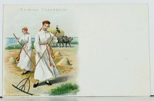 Skansk Skordebild Women Tend Crop c1902 Axel Eliassons Konsforlag Postcard D15