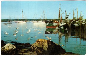 Along the Coast, Boothbay Harbor, Maine, Used 1962