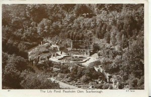 Yorkshire Postcard - The Lily Pond - Peasholm Glen - Scarborough - TZ11728