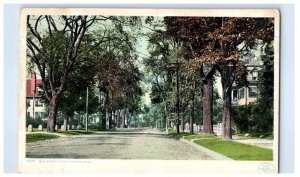 Elm Street Northampton Massachusetts Postcard Posted