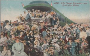Postcard Wild Flower Excursion Colorado CO Railroad Train