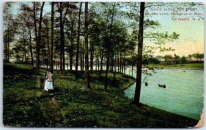 Postcard - Grove Along The Shore Of The Lake, Weequahic Park - Newark, N. J.