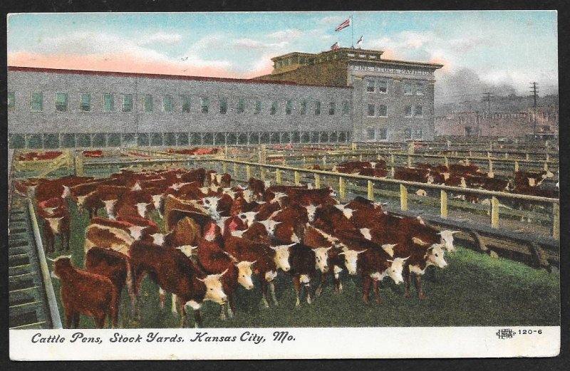 Cattle Pens Stock Yards Kansas City Missouri Used c1909