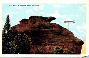Colorado Mushroom Park The Lizard