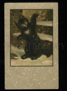 134402 Black CAT in Snow DANCE by SPERLICH vintage KNG PC