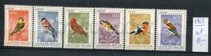 265695 Yugoslavia 1968 year MNH stamps set BIRDS