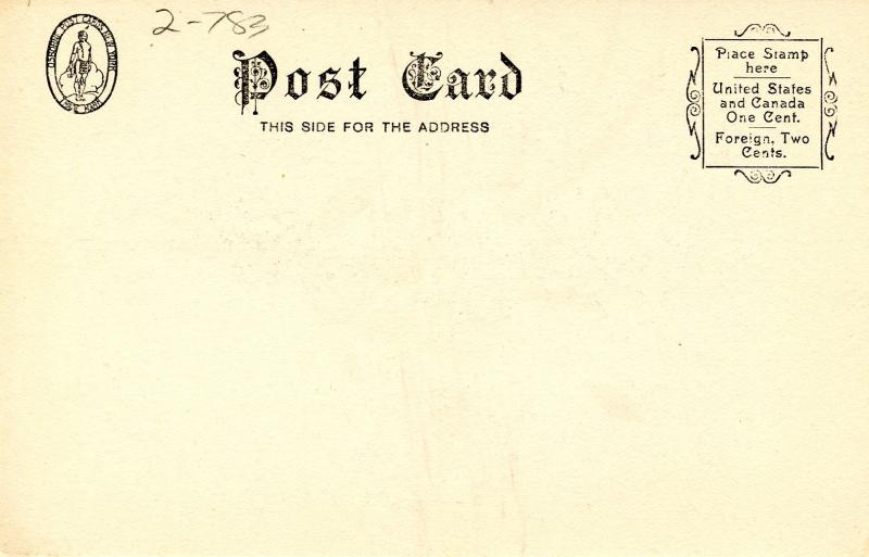 Carnations - Artist: M. Andreossi