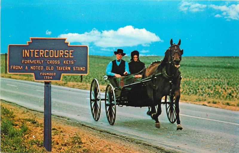 Amish Family Carriage Horse Buggy Intercourse Pennsylvaia Pa Postcard