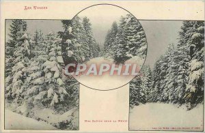 Old Postcard Vosges Our Trees Under Snow
