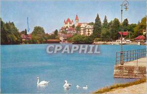 Modern Postcard Thun Thun Aare Basin Schloss und Kirche mit Swans