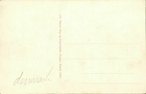 denmark, DRAGØR, Sydgrønningen (1910s) Postcard