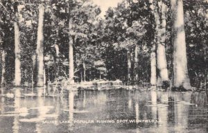 Winnfield Louisiana Saline Lake Fishing Vintage Postcard AA21360