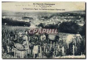 Old Postcard Folklore Wine Vintage Champagne The vineyard work picking grapes...