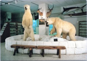 Postcard MO Point Lookout Ralph Foster Museum Polar bear exhibit College Ozarks