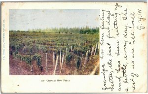 An Oregon Hop Field c1906 Undivided Back Vintage Postcard V37
