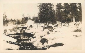 RPPC  GRAYLING, Michigan MI ~ Deer in the Snow Good Hunting    Postcard