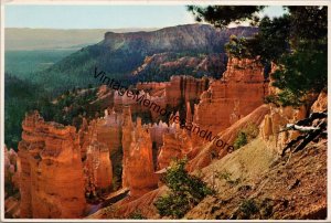 Bryce Canyon National Park Utah Postcard PC233