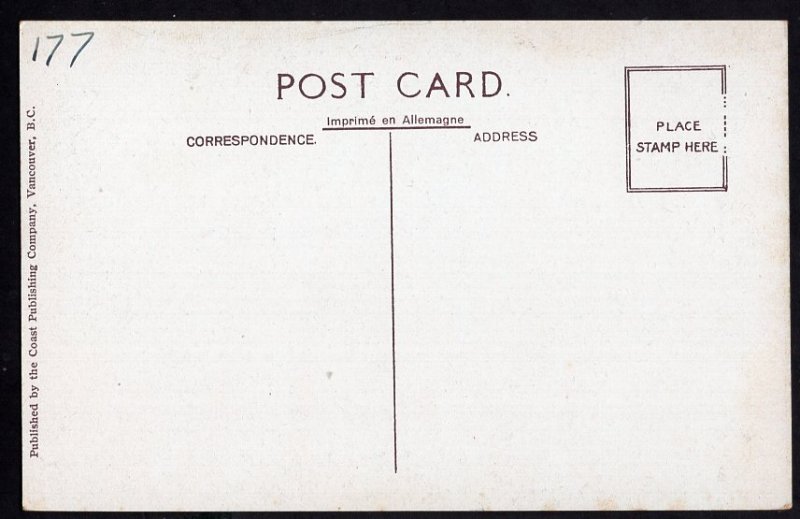 British Columbia VANCOUVER Lynn Canyon Suspension Bridge Divided Back