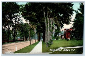 c1910's North Street Trees and Houses Auburn New York NY Unposted Postcard 