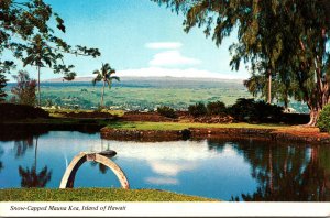 Hawaii Big Island Snow Capped Mauna Kea