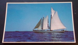 UNUSED POSTCARD - WINDJAMMER UNDER FULL SAIL, BTW. CAMDEN & DEER ISLE, MAINE