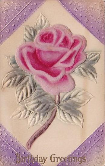 Birthday Greetings Beautiful Pink Velvet Rose