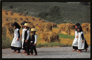 Walking To Church Walking To Church, A Traditional Amish Group