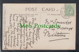 Birds Postcard - Gull's Nest, Annet, Scilly SW4659