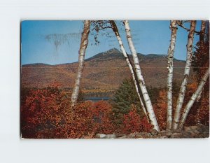 Postcard Mt. Chocorua Through The Birches, White Mountains, New Hampshire