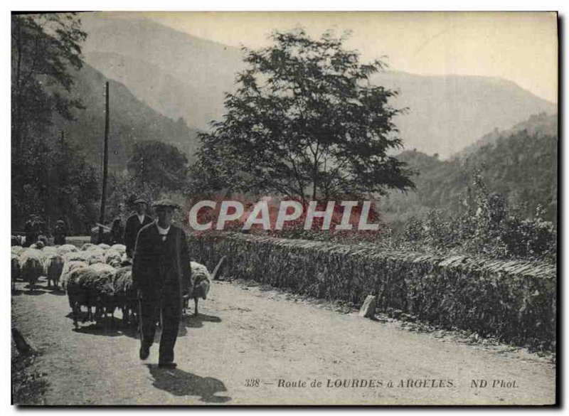 Old Postcard Folklore Road Lourdes Argeles Sheep