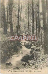 Old Postcard Plombieres les Bains in the Park Little Waterfall