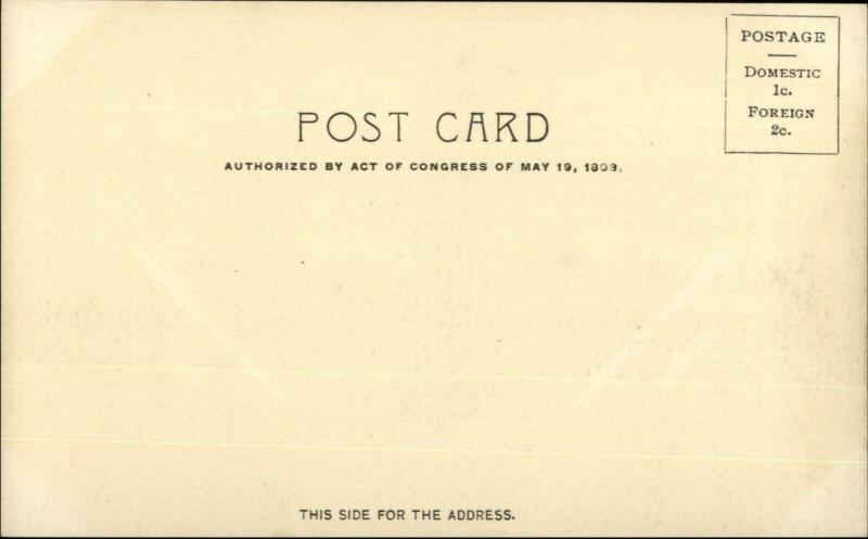 1904 Louisiana Purchase Expo Mogul Egyptian Cigarettes Advertising Postcard 6 