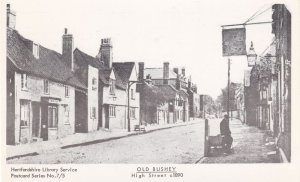 Old Bushey High Street 1907 Bell Pub Hertfordshire Postcard