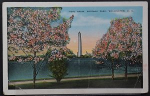 Washington, DC - Tidal Basin, Potomac Park