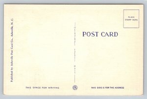 A Native Cherokee Mother    Postcard