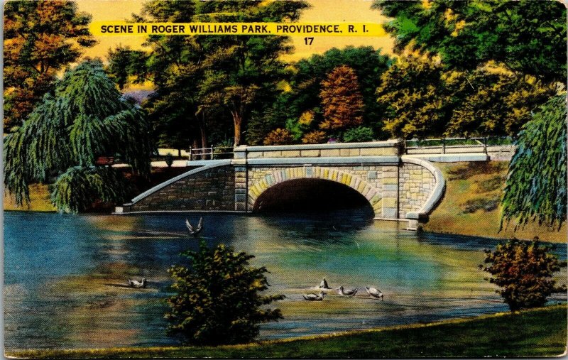 Vtg Providence Rhode Island RI Scene in Roger Williams Park Postcard