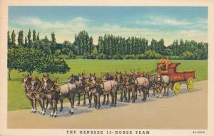 Rochester, New York - Genesee Twelve Horse Team Ale - Linen