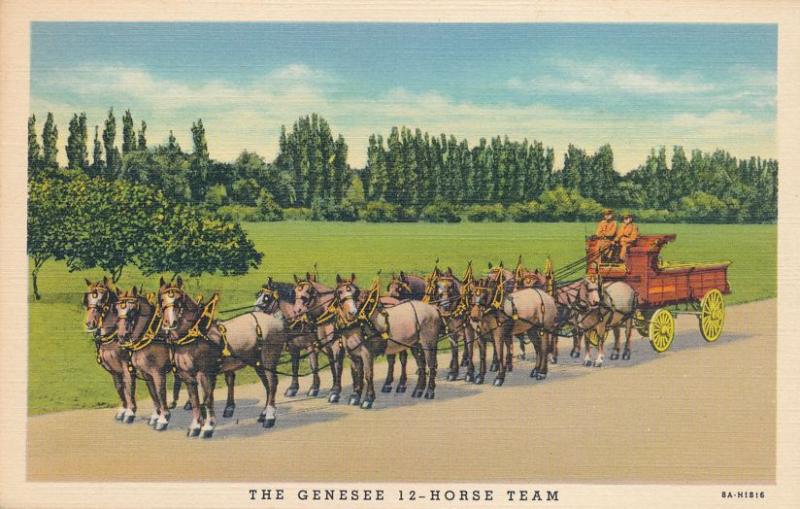 Rochester, New York - Genesee Twelve Horse Team Ale - Linen