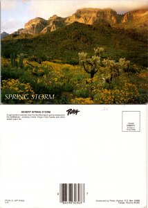 Desert Spring Storm (14526