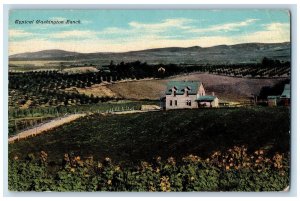 1911 Typical Washington Ranch Fields Sun Flower House Grove Road Posted Postcard