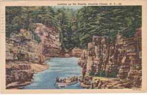 New York Ausable Chasm Looking Up The Rapids 1951  Curteich