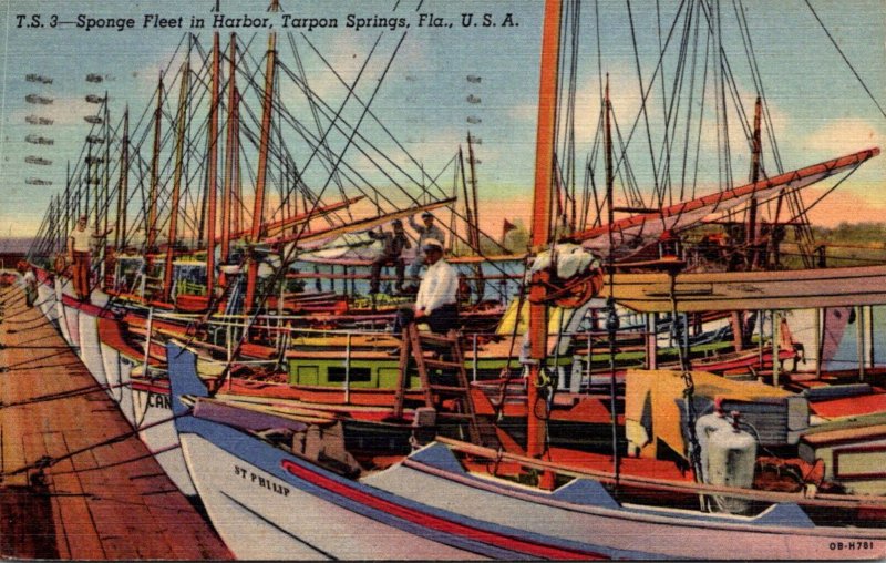 Florida Tarpon Springs Sponge Fleet In Harbor 1953 Curteich