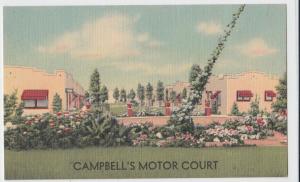 Old NORTH PLATTE Nebraska Nebr Postcard CAMPBELL'S MOTOR COURT Linen