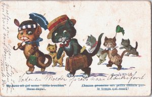 Anthropomorphic Cats Family Donald Mcgill Vintage Postcard 02.74