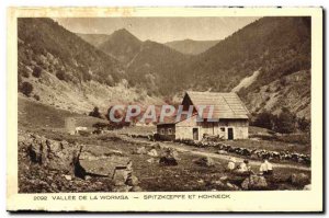 Old Postcard Valley Of THE Wormsa Spitzkoepfe And Honeck