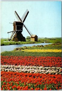 Postcard - Garden Flowers Windmill River Landscape Scenery - Netherlands