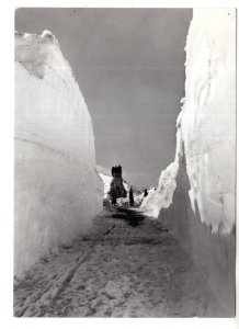 Real Photo, Huge Snow Banks, Switzerland Bernina Pass, Ospizio, Gottardo